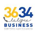3634, La ligne Business