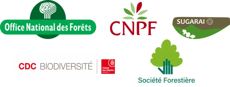 Foresterie.png